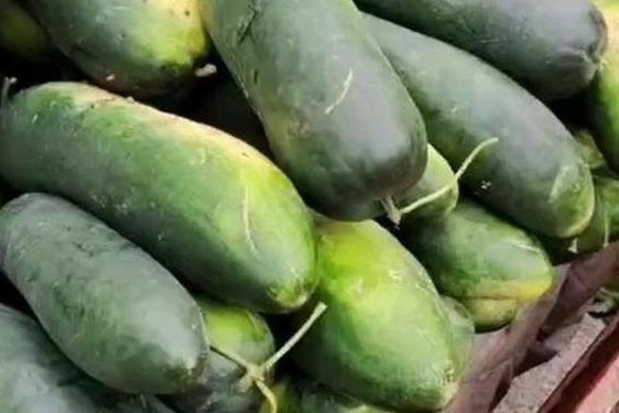 独家黑料每日吃瓜视频网站;冬瓜视频