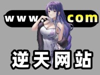 18款禁用b站网址,夜里禁用的B站网站