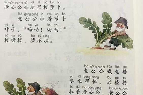 拔萝卜要盖被子吗？—什么是拔萝卜
