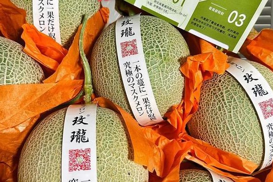 吃瓜网张律渝 减肥能不能吃网纹瓜
