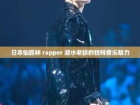 19岁rapper仙踪林歌曲特点-美国仙踪林rapper歌词翻译