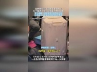 x7x7x7任意噪108澎湃号_x7x7x7任意噪入口直达大象