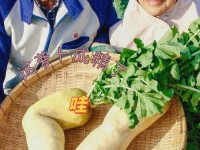 拨萝卜不该盖-女生和男生亲亲在家里怕的是什么