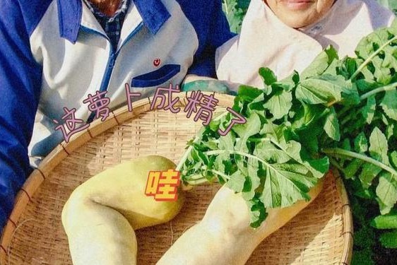 拨萝卜不该盖-女生和男生亲亲在家里怕的是什么