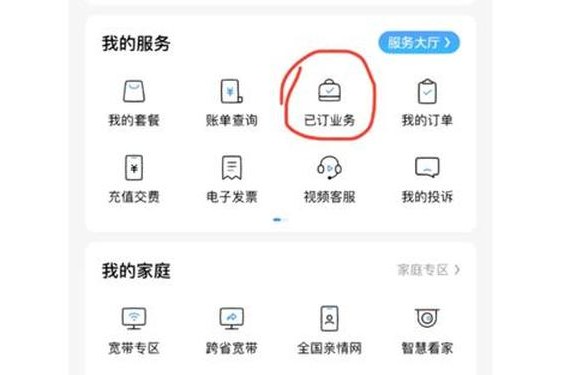黑料爱妻艺最新网址,爱奇艺会员激活码网站