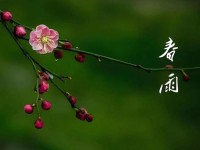 春雨app苹果安装—免费下载春雨