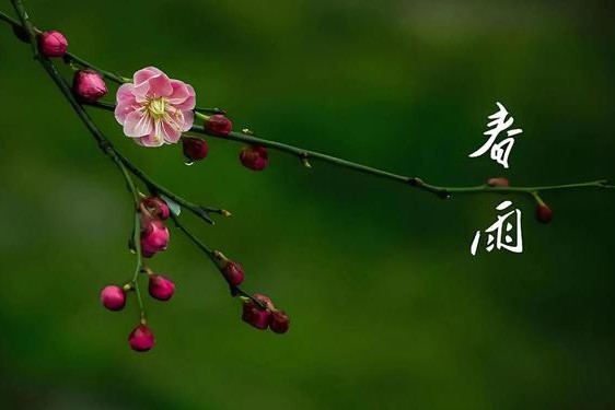 春雨app苹果安装—免费下载春雨